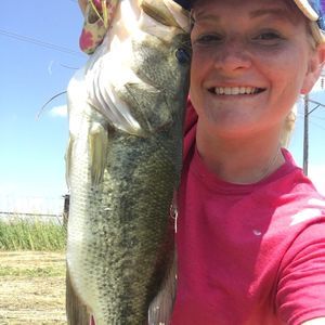 Meet your Posher, Walter